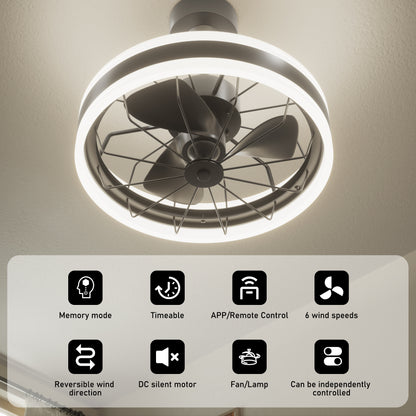 DECTOU 35W Dimmable Light Ceiling Fan - Highlighting 6 Speeds, DC Silent Motor, Timer & Memory Function